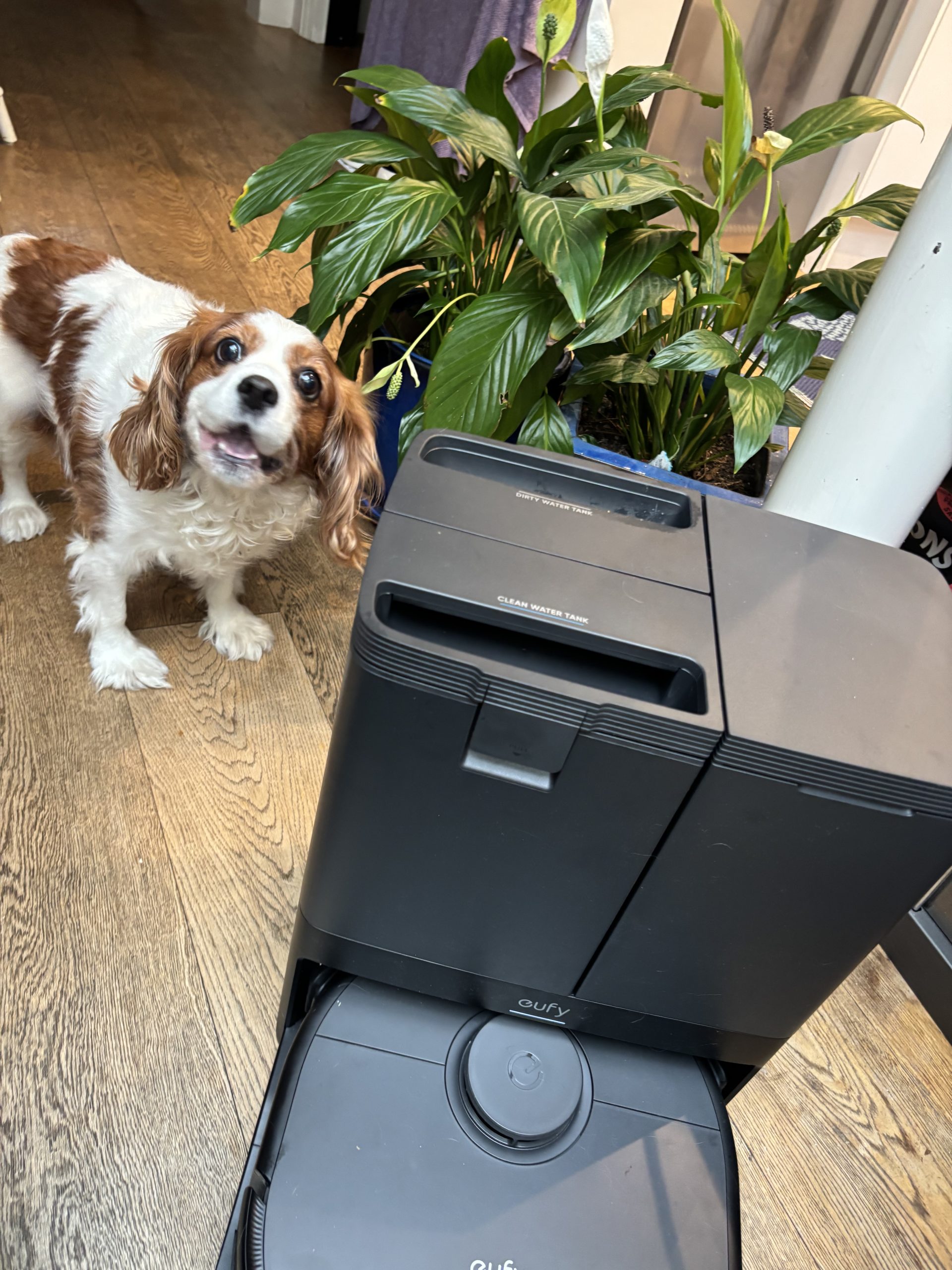 gorgeous sleek design