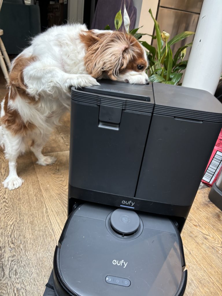 exploring my new friend