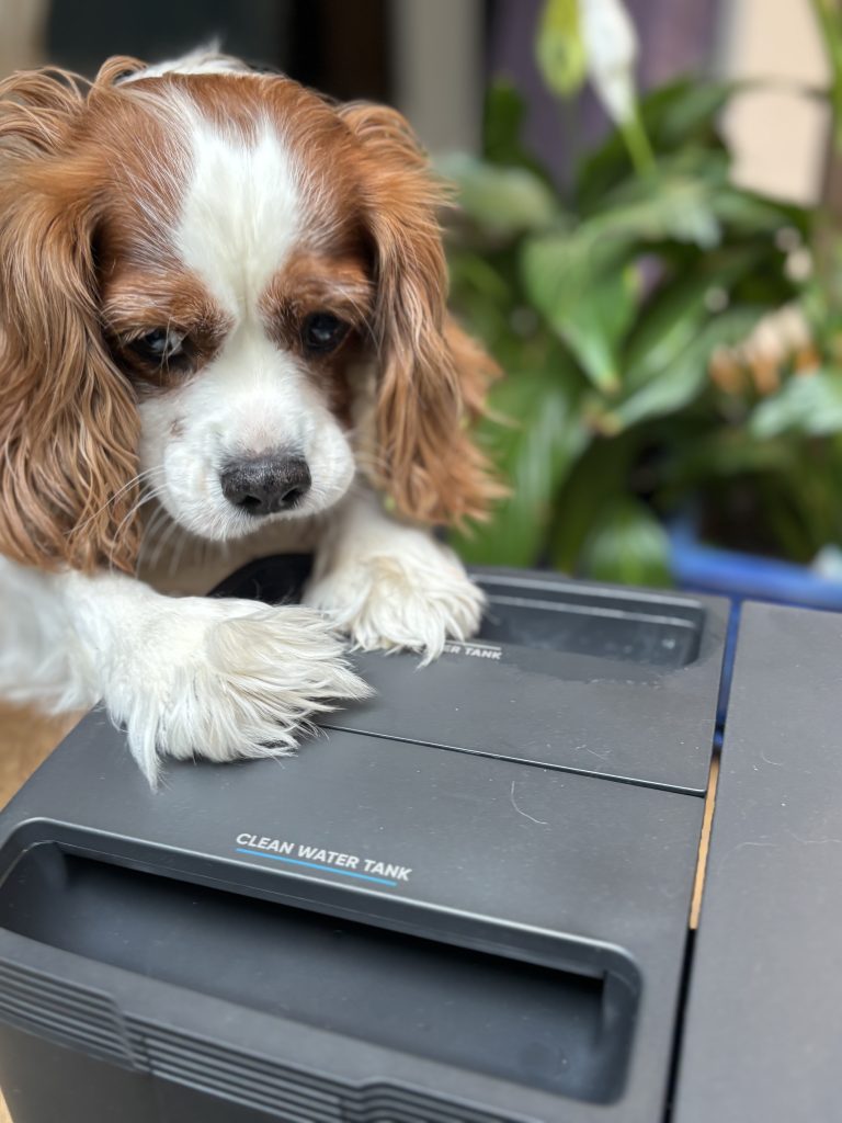 I want it! Eufy X10 Pro Omni