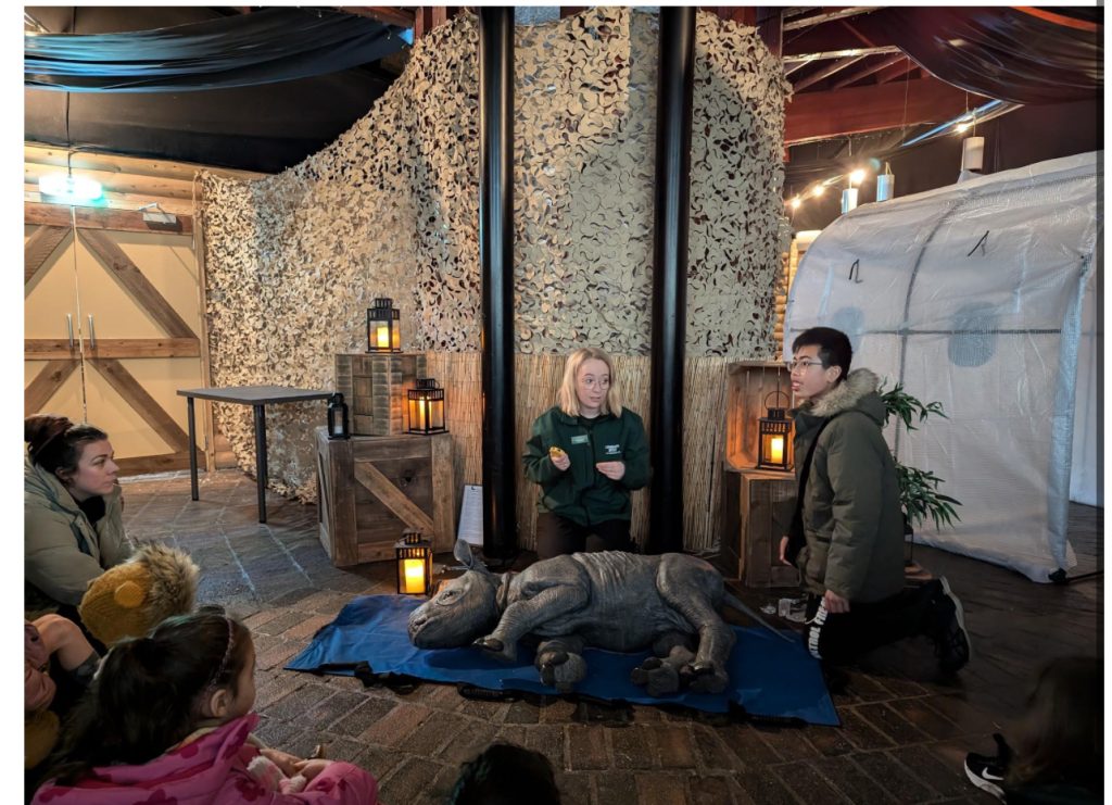 London Zoo Vets in Action