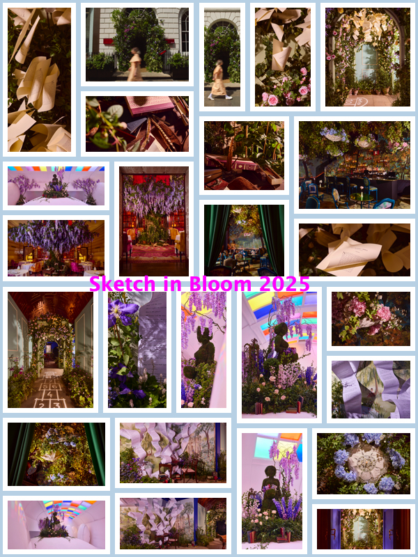 Sketch in Bloom 2025 – A Floral Tribute to Jane Austen pics by ©MarkCocksedge©MarkCocksedge collage