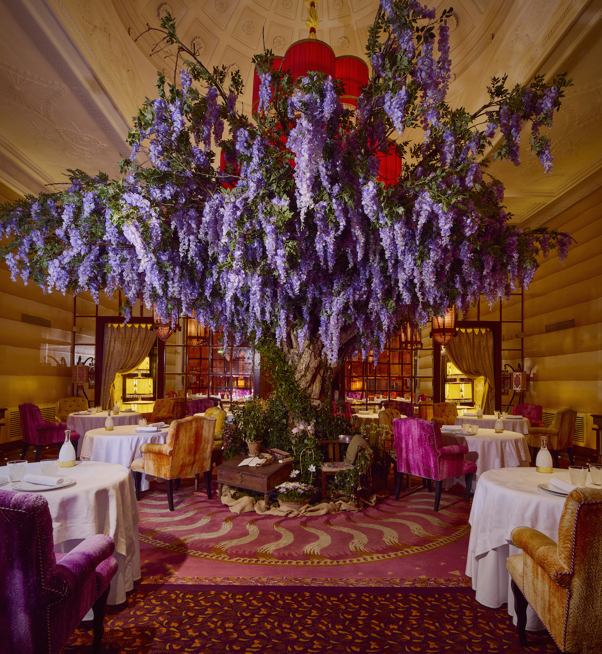 Sketch_InBloom wisteri in the restaurant
