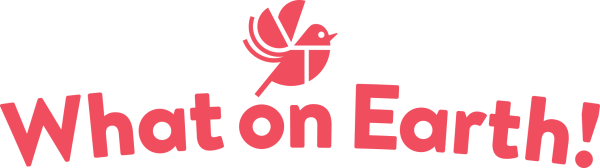 competition FACTopia assets tote and 8 books