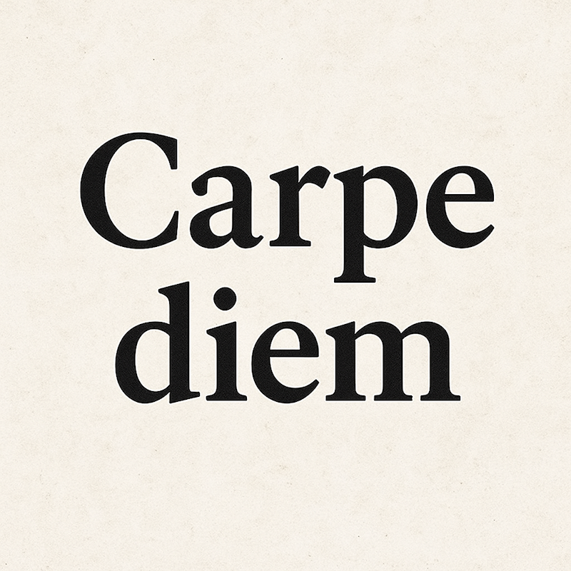 Carpe Diem in Serif illustration copyright London Mums magazine.png