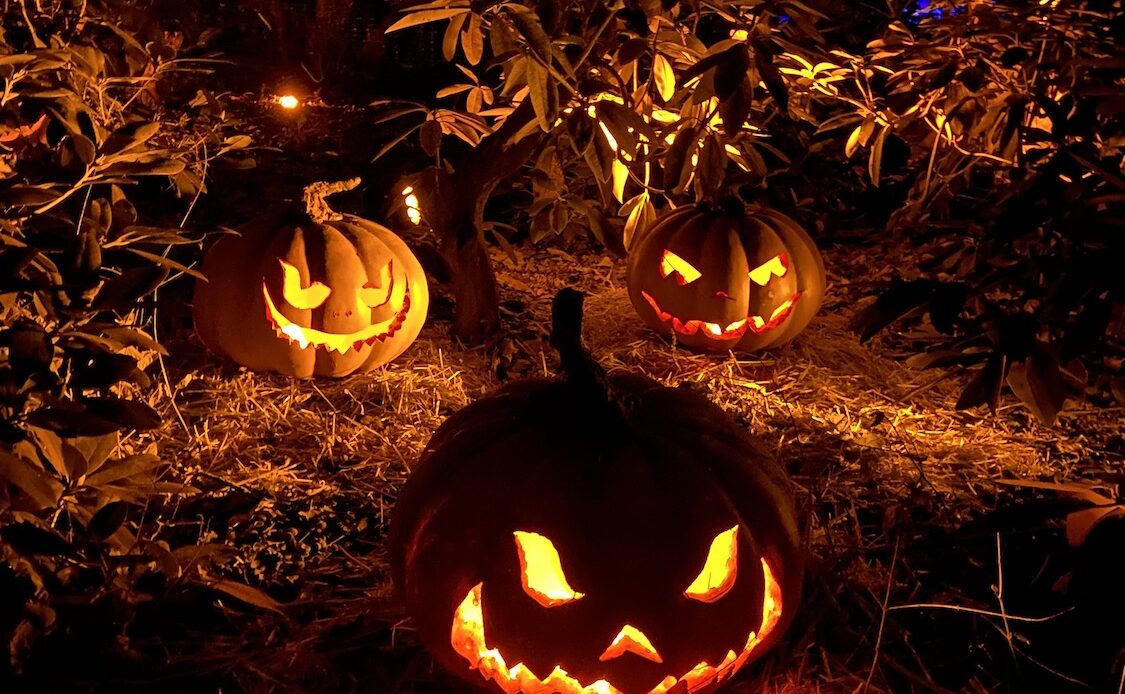 halloween Pumpkins at kenwood house