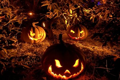 halloween Pumpkins at kenwood house
