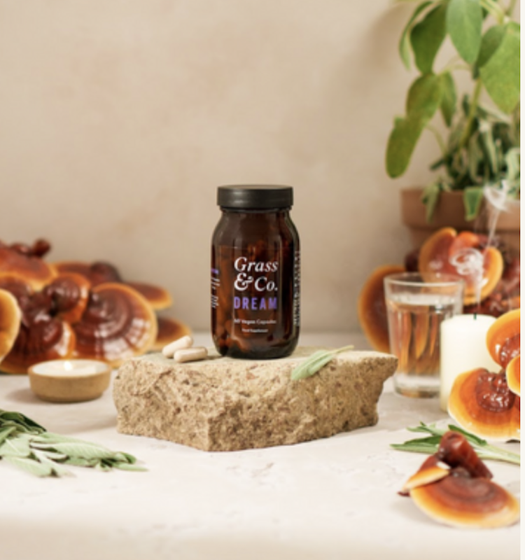 reishi mushrooms capsules