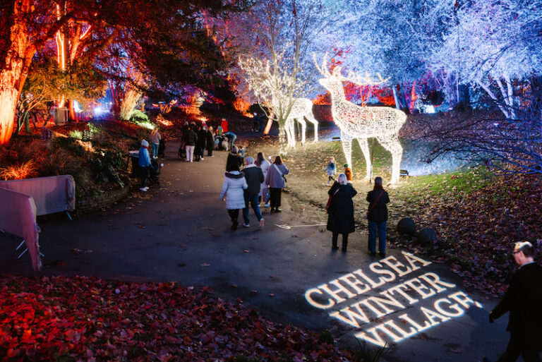 Chelsea Winter village & illuminations: What to expect from the 2026 ...